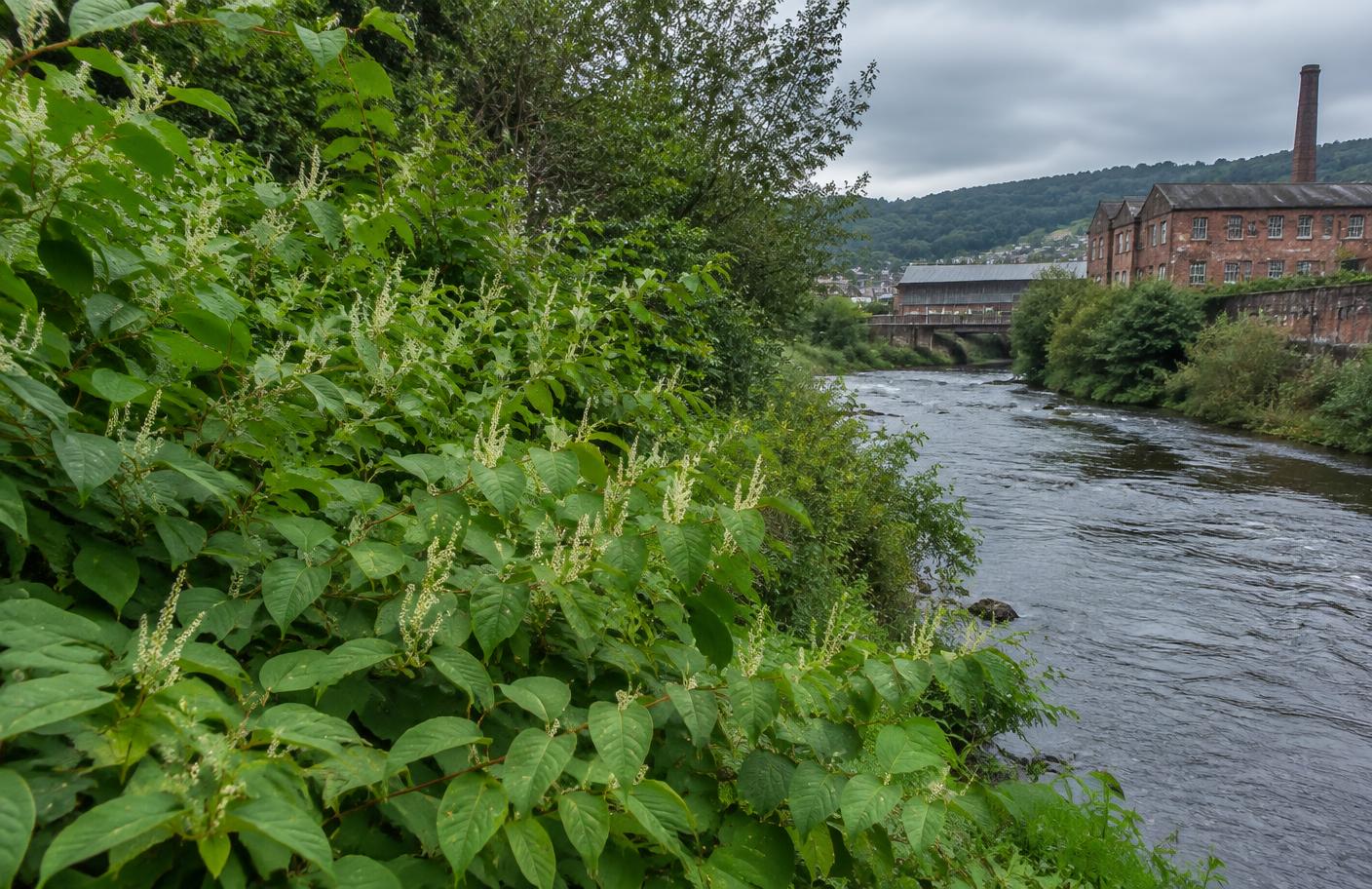 Landore, Morriston & Plasmarl local landscape