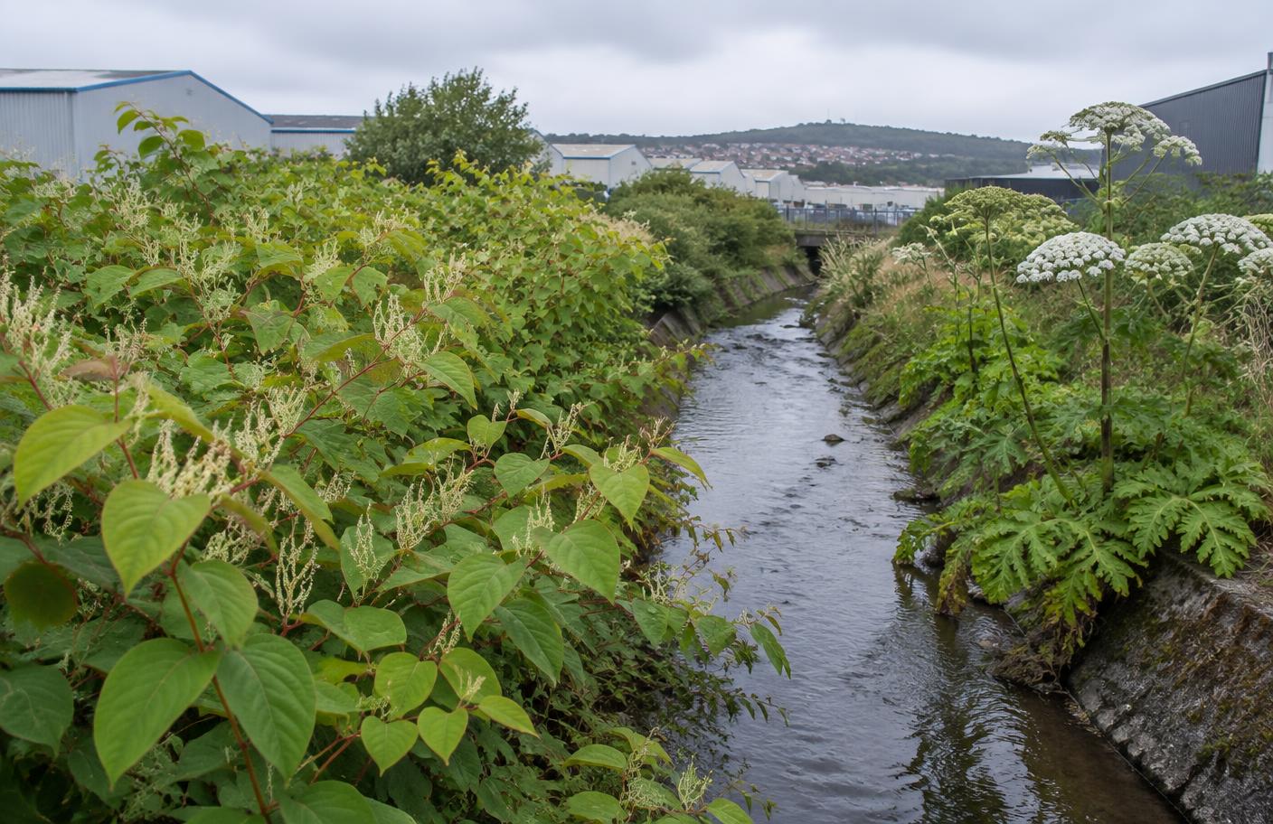 Llansamlet, Birchgrove & Winch Wen local landscape