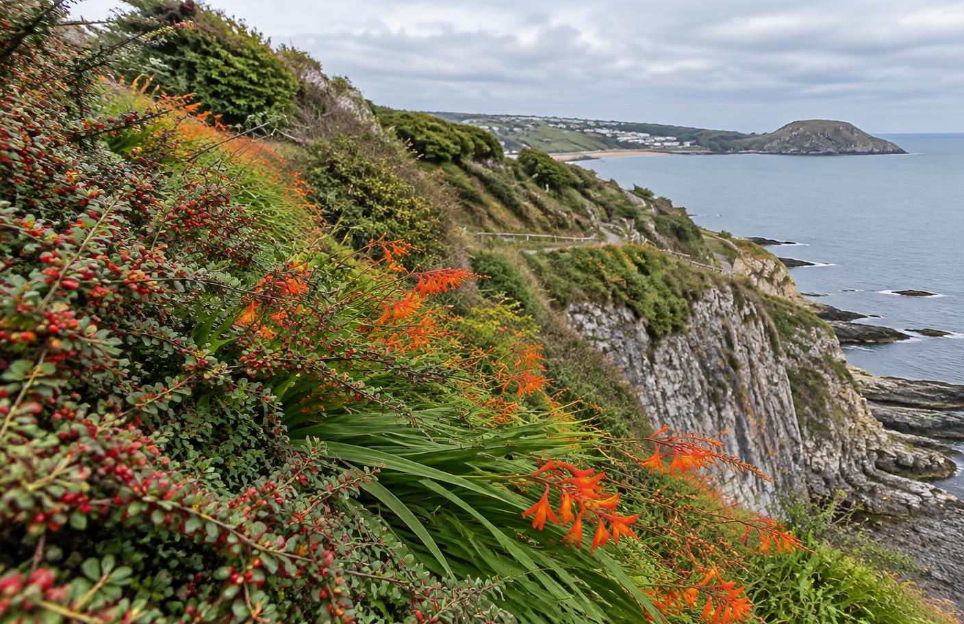 Mumbles, Langland & Caswell local landscape