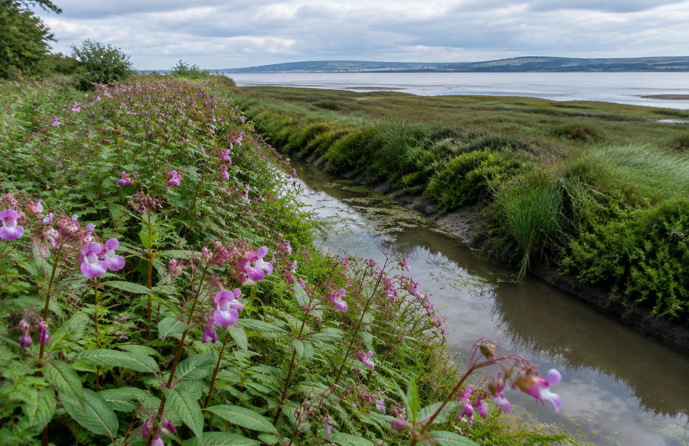 Gowerton, Penclawdd & North Gower local landscape
