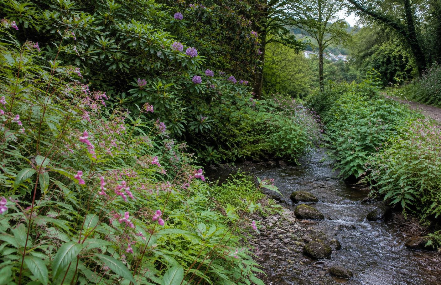 Sketty, Killay & Dunvant local landscape